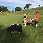 Bed & Breakfast Cabane Dans Les Arbres / Swin-golf De Cremin