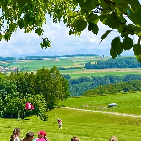 Dans Les Arbres / Swin-golf De 4*