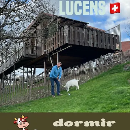 Cabane Dans Les Arbres / Swin-golf De * Cremin