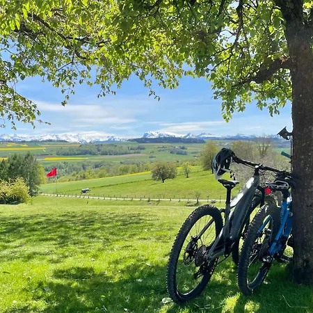 Dans Les Arbres / Swin-golf De 4*