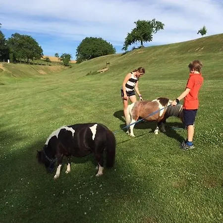 Bed and Breakfast Dans Les Arbres / Swin-golf De Cremin