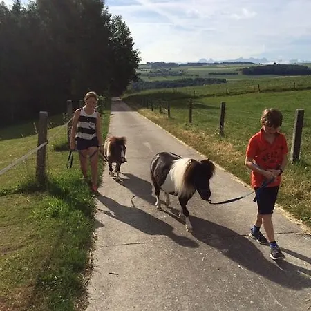 Dans Les Arbres / Swin-golf De