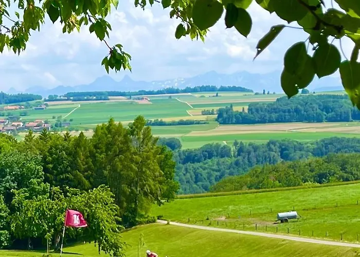 Dans Les Arbres / Swin-golf De 4*