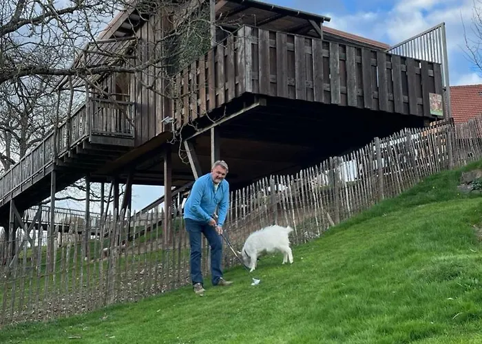 Dans Les Arbres / Swin-golf De 4* Cremin