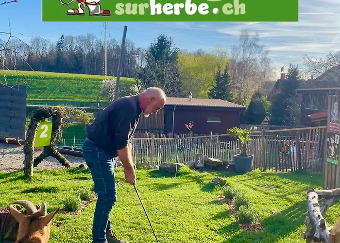 Dans Les Arbres / Swin-golf De Cremin