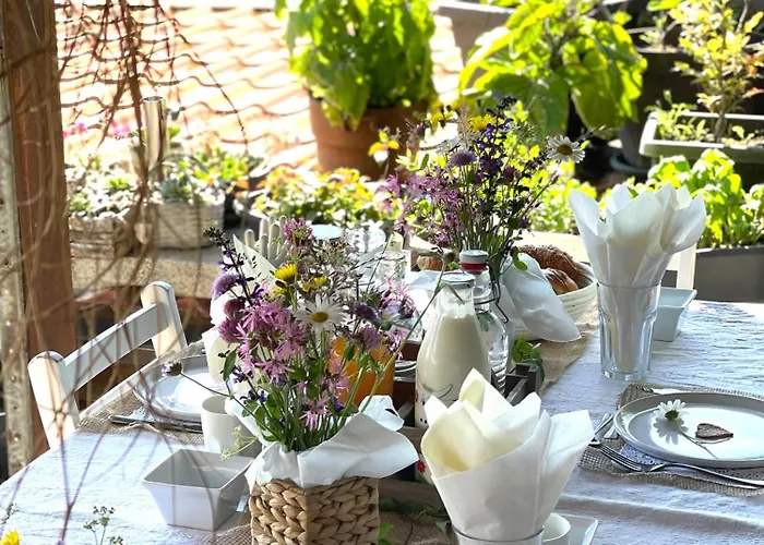 Cabane Dans Les Arbres / Swin-golf De