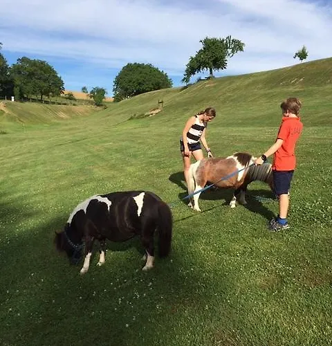 Oda ve Kahvaltı Dans Les Arbres / Swin-golf De Cremin
