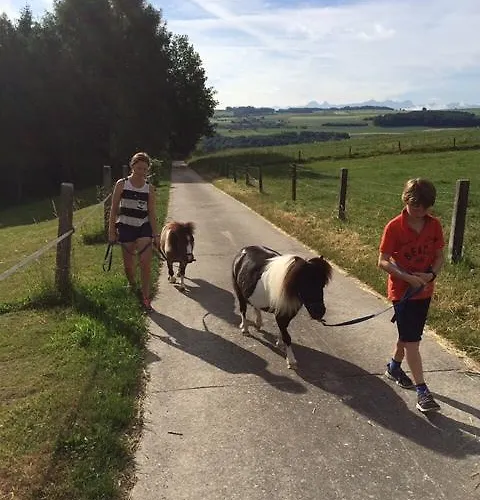 Cabane Dans Les Arbres / Swin-golf De