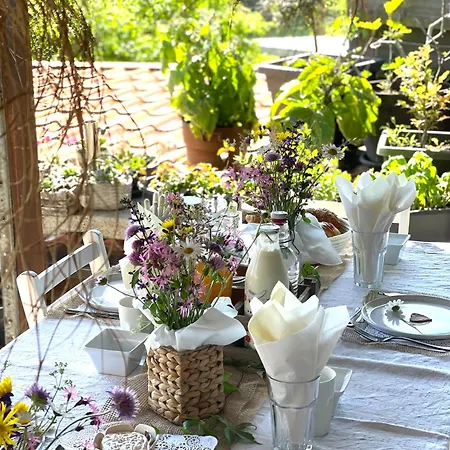 Cabane Dans Les Arbres / Swin-golf De