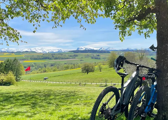 Dans Les Arbres / Swin-golf De 4*